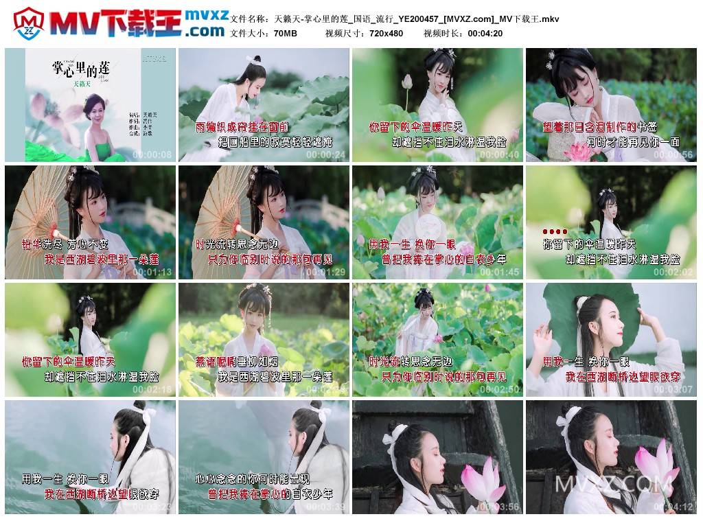 天籁天-掌心里的莲_国语_流行_YE200457